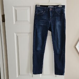 Wit & Wisdom Ab Solution Skinny Jeans